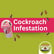 Cockroach Infestation Horror Stories and What They Reveal About Food Safety | Episode 117 image
