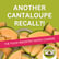 Cantaloupe Recalls, Norovirus Nightmares & the Food Safety Chemical Nobody’s Talking About | Episode 167 image