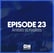 Amities et Rivalites entre fans en Pologne - Part1 - OhMyEkstraklasa S3. Ep.23 image
