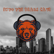 Lions siegen, holen wir uns gehörnte Helme? Recap Week 11 - Preview Week 12 image