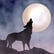 How Does One Become A Werewolf? Once Afflicted, Is There A Cure? Let's Check It Out image