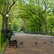 City Park: 8-Hour Tranquil Urban Nature Soundscape for Relaxation, Studying & Sleep image