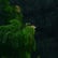 Soft Rain & Calming Wind 8 Hours | Rain Sound for Sleep, Babies & Relaxation image