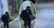 E187: The Ninja of Heisei image