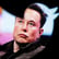 Episode 224: “WAAAHHH! I Want My Bwue Checkmark!” image