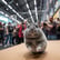 IFA and Startup night Berlin 2023, slow but steady image