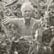 Use less compost, make less money & follow your passion 100% with Steve Solomon image