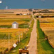 Ep 05- Mythology, farming, and democracy with Prof John Pauley image