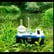 Jeremy - Biologist, Ecologist, Environmental Consultant.  image