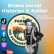 Briana Gervat image