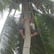Episode 7: Damon Swain - Marshall Islands - Ailinglaplap, Ebeye, Majuro, Arno (jambo) image