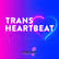 Hayden Stern - Trans Trad Music Festival image