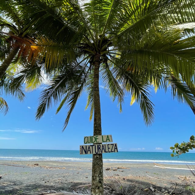 Audio Postcard: Earth Day Meditation from Costa Rica image