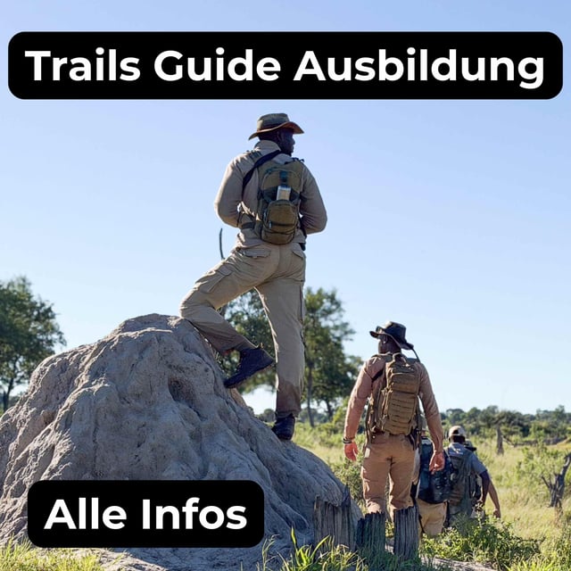 Vom Safari-Gast zum Trails Guide: Ausbildung im Busch mit Line und Sebastian [Abenteuerhappen] image