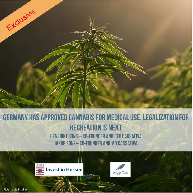 Germany has approved Cannabis For Medical Use, and Legalization for Recreation Is Next image