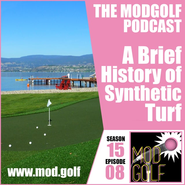 A Brief History of Synthetic Turf image