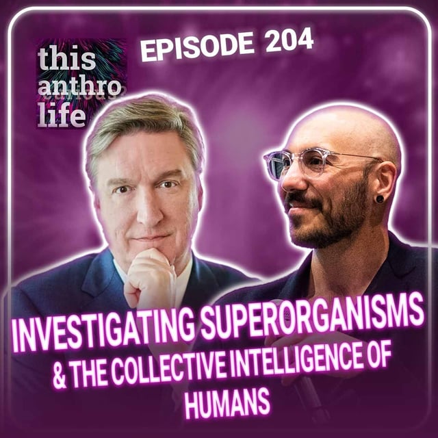 Investigating Superorganisms and The Collective Intelligence of Humans image