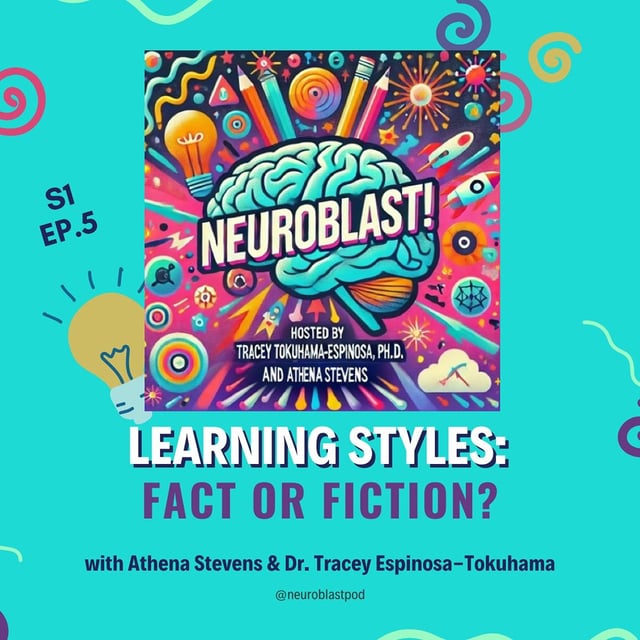 Learning Styles: Fact or Fiction image