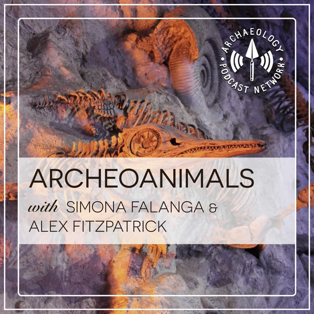 The Zooarchaeology of ArchaeoAnimals - Ep 65 image