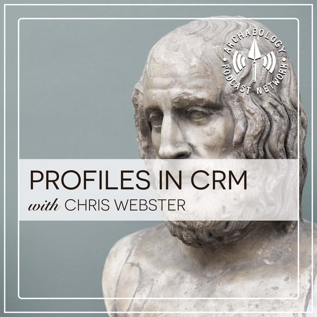 Profiles in CRM