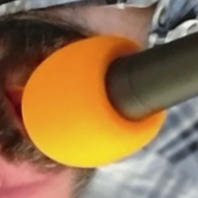 Week 20 and the playoffs roll on image