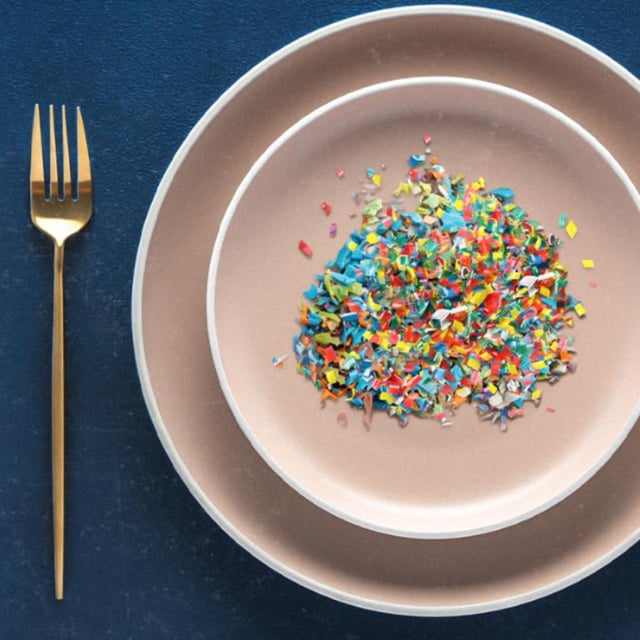 The Plastic Detox image