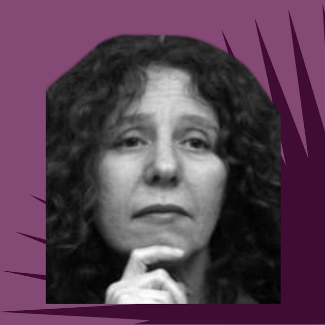 Why You Can't Wear a Yellow Vest Anymore: Ida Susser on the Battle for Democracy in France image