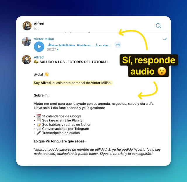 Instala MoltBot (ClawdBot) Fácil: Aterrizaje y Tutorial exprés para personas NADA técnicas image