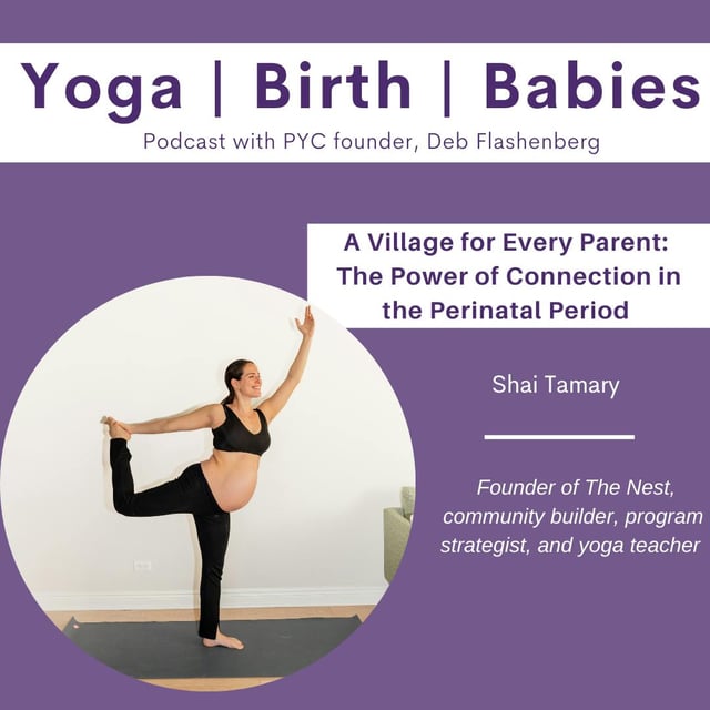 A Village for Every Parent: The Power of Connection in the Perinatal Period with Shai Tamary image