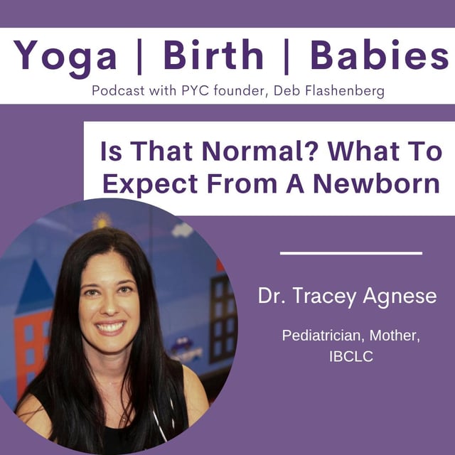 Is That Normal? What To Expect From A Newborn with Dr. Tracey Agnese - A Revisit image