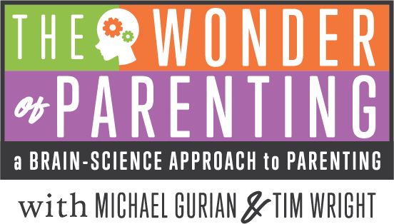 #403: Raising Boys Peacefully with guest Tosha Shore image
