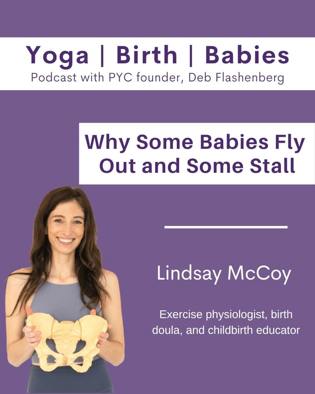 Why Some Babies Fly Out and Some Stall with Lindsay McCoy  image