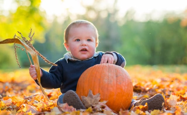 Baby's First Holiday: Thanksgiving Edition image