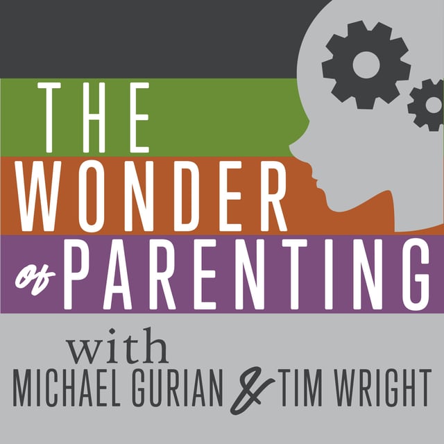 The Manosphere and Boys with guest Rachel Hale image