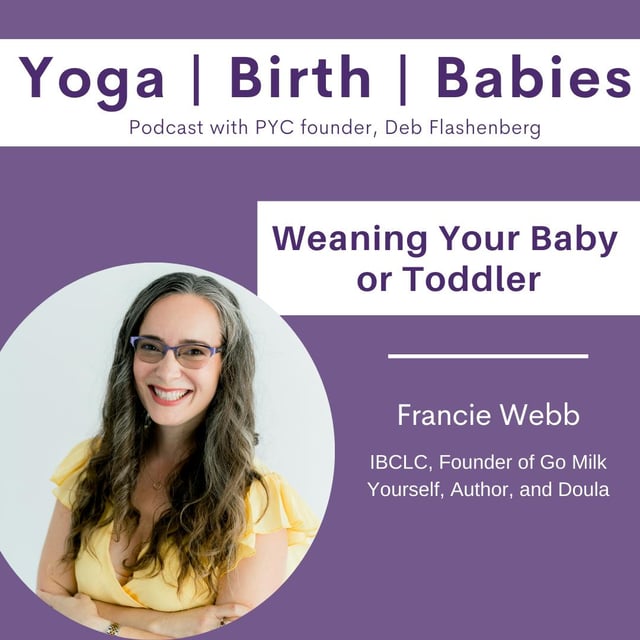 Weaning Your Baby or Toddler with Francie Webb image