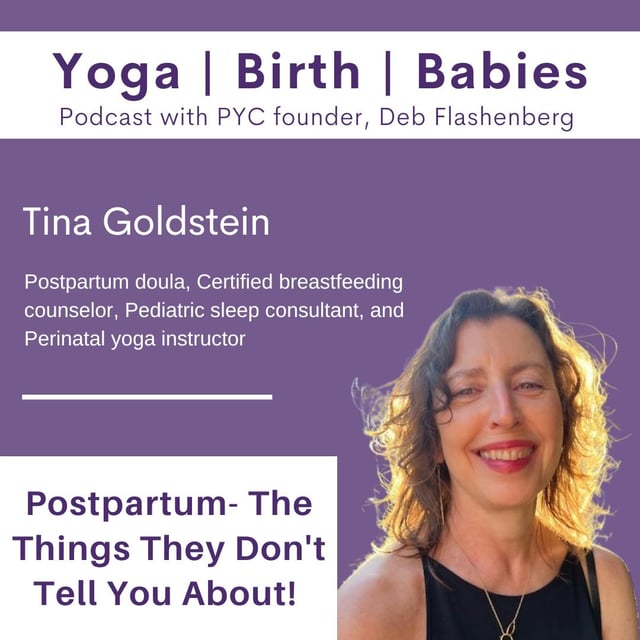 Postpartum- The Things They Don't Tell You About! with Tina Goldstein image