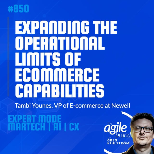 #850: Newell VP of E-commerce Tambi Younes on expanding the operational limits of ecommerce capabilities image