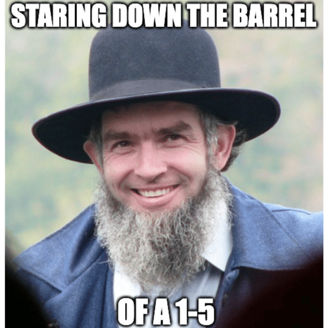 Amish Paradise image
