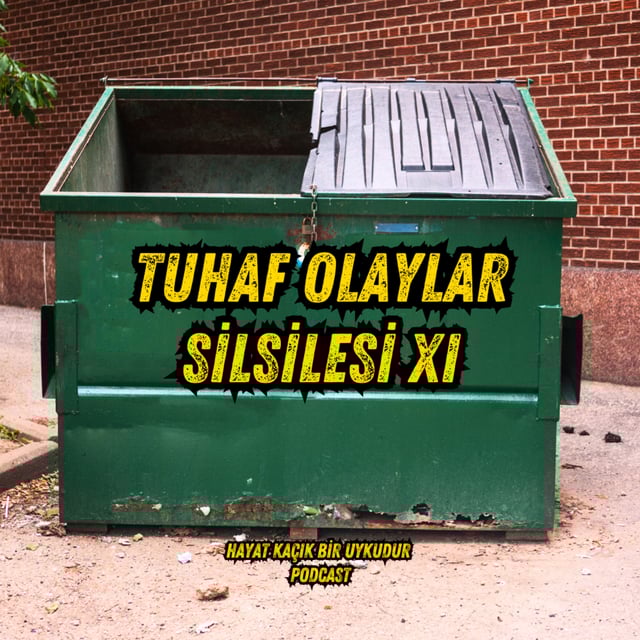 #319 Tuhaf Olaylar Silsilesi XI image