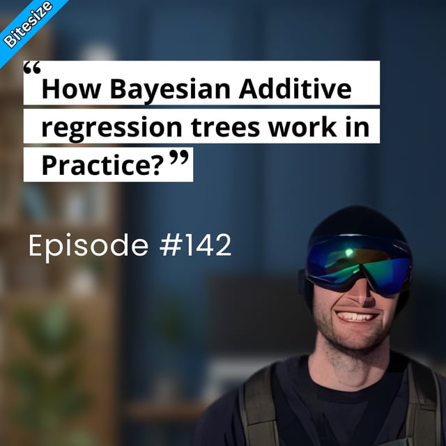 BITESIZE | How Bayesian Additive Regression Trees Work in Practice image