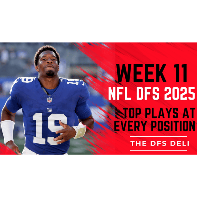 NFL Week 11: Top Plays at Every Position, The DFS Deli image