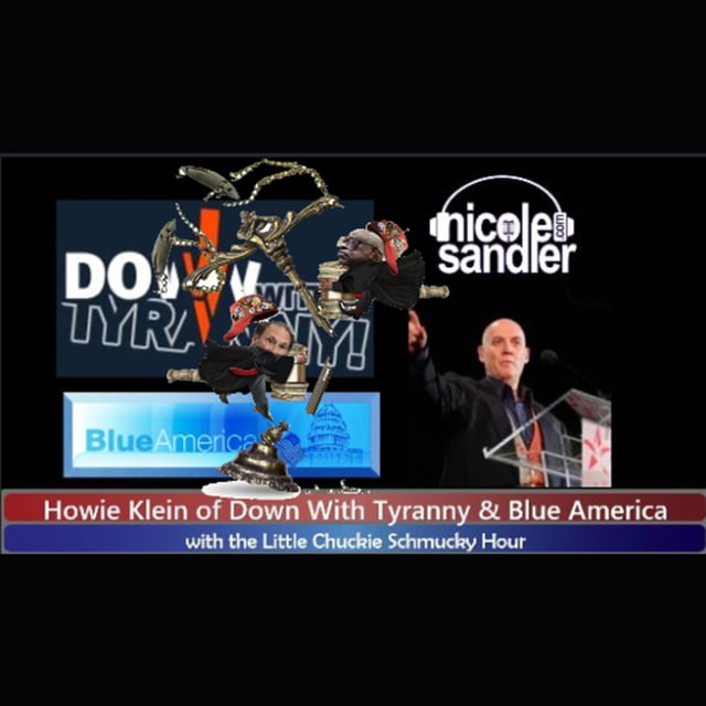 20250306 Economy Crashing Thursday with Howie Klein on the Nicole Sandler Show  image