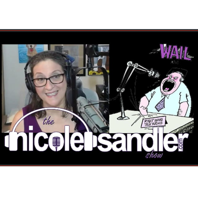 20240827 Superseding Indictment and RFK Jr's Worm Weighs In - Nicole Sandler Show image