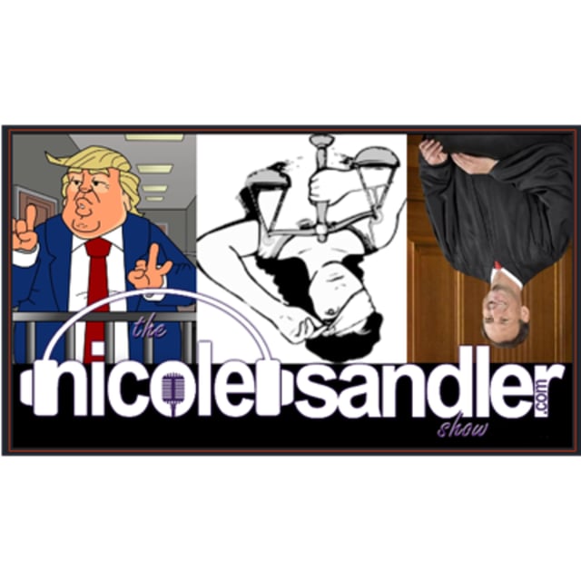 20240529 Lisa Graves on the Surreal Law on the Nicole Sandler Show  image