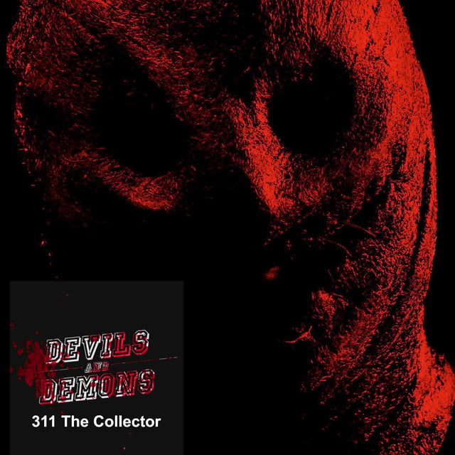 311 The Collector (2009) image