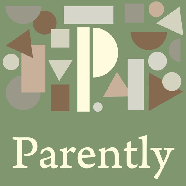S5 E18: Amy Armstrong: Center for Family Resolution image