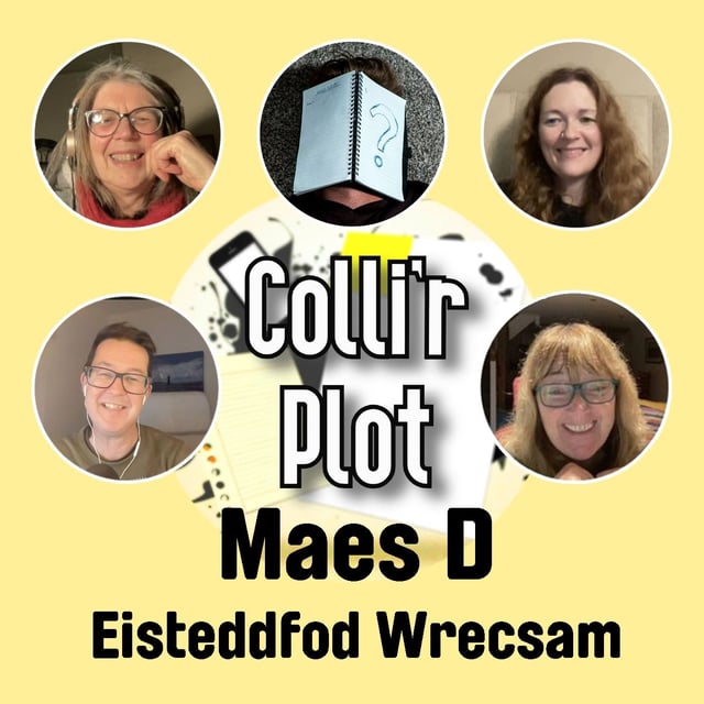 Maes D - Eisteddfod Wrecsam 2025 image