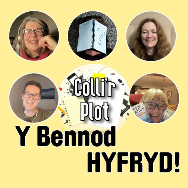 Y Bennod Hyfryd image