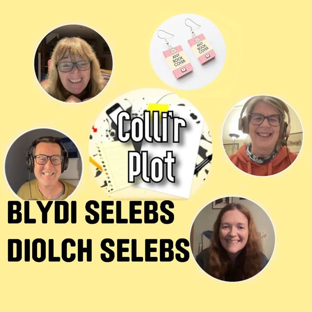 Blydi Selebs / Diolch Selebs image