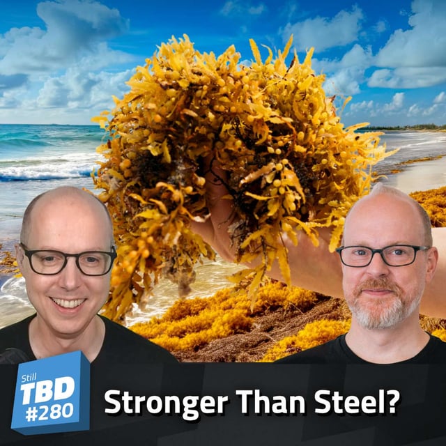 280: Seaweed? More like See Opportunities! image